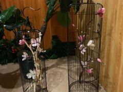 -御池园(顾村公园店)