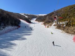 -密苑云顶乐园(云顶滑雪场)