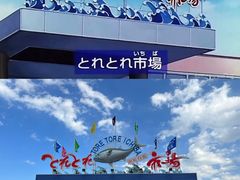 -滨千鸟之汤 海舟