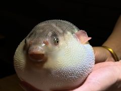 -永安鱼庄·镇江菜(丁卯店)