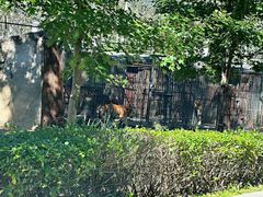 -西霞口神雕山野生动物世界