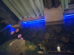 -淀里船宴(卓达店)