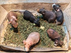 -福州罗源湾海洋世界旅游区