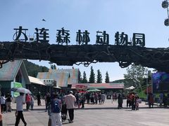 -大连森林动物园游乐场-售票处