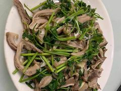 芫爆肚丝-胖子菜馆(隆昌路店)
