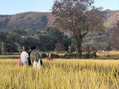 -塔川景区