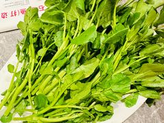 -张凯达·深海石斑鱼潮汕火锅(十五年品牌•虹桥天街店)