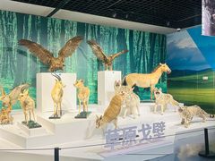 -中国湿地博物馆