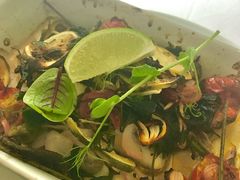 -蝶舍·MAISON PAPILLON