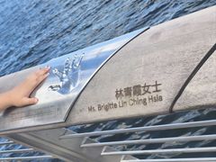 -星光大道