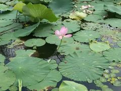 -长白岛森林公园