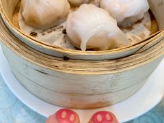 皇朝虾饺皇-皇朝尊会(龙之梦大酒店)