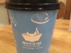 -猫的天空之城概念书店(印象城购物中心店)