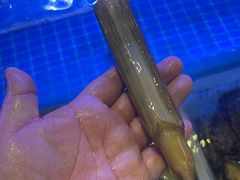 -威海渔村(静安旗舰店)