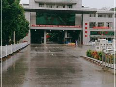 -打洛口岸