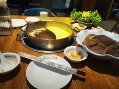 -青瓷火锅料理(西单大悦城店)