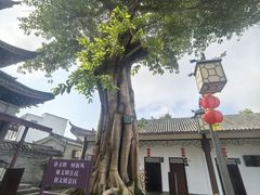-石宝寨