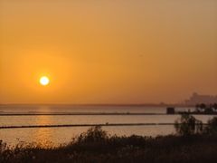 -合肥滨湖国家森林公园