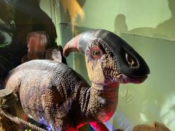 -恐龙探索乐园(磁器口店)