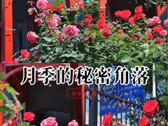 -北京师范大学附属中学