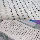 女神修炼指南：料理与书画