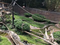 -圣地亚哥动物园