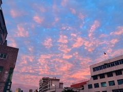 -坂田天虹