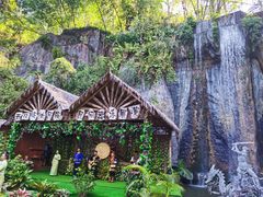 -西双版纳原始森林公园