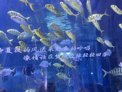 -重庆欢乐海底世界