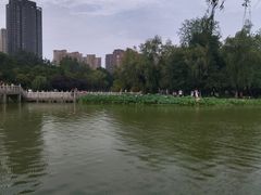 -莲湖公园