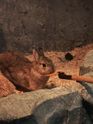 -Zoolung Zoolung动物主题公园(海信广场店)