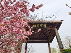 -北宫国家森林公园
