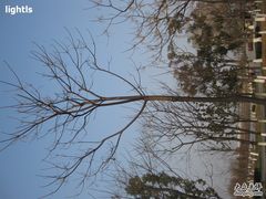 -白塘生态植物园