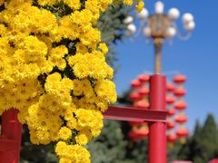 -北陵公园