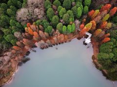 -四明山国家森林公园