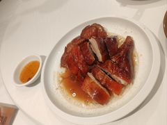 -侨美·唐荔园·40年地道粤菜