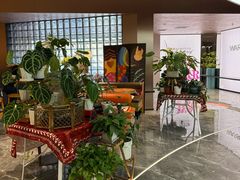 -Sips&Lick茶兰咖啡(五道口店)