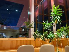 -人间酒暖·Go blanc·烧鸟·深夜食堂(陆家嘴店)
