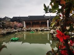 -芥子园