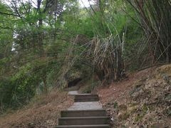 -南山植物园