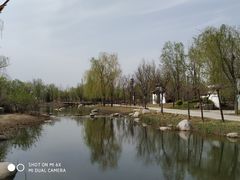 -武清南湖绿博园