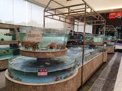 水产区-壹品盛宴(企石店)
