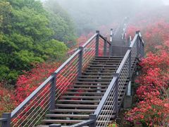 -瑞安圣井山景区