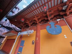 -上海东林寺(金山区)