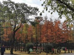 -晓港公园