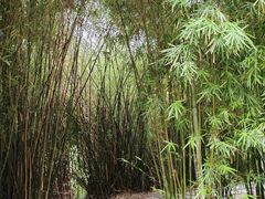 -苏州河梦清园环保主题公园