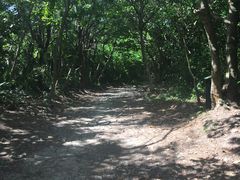 -龙坑生态保护区