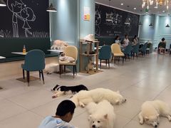 -安格丽娜·狗咖·猫咖羊驼咖(春熙路百盛商场店)