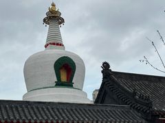 -西塔