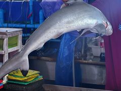 -班赞海鲜市场
